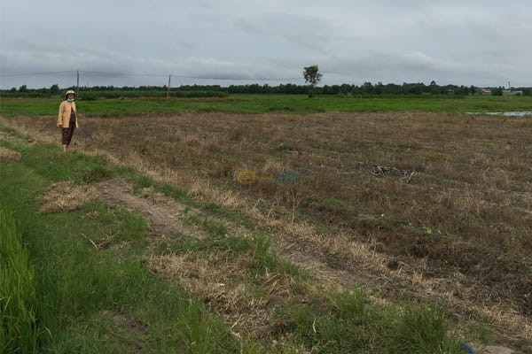 ban-2-lo-dat-lua-xa-an-nhon-tay-duong-vao-oto-khu-dan-cu