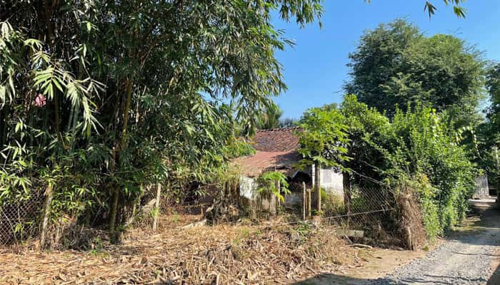 ban-dat-11x53m-huynh-thi-bang-xa-phu-hoa-dong-gan-cho-ubnd