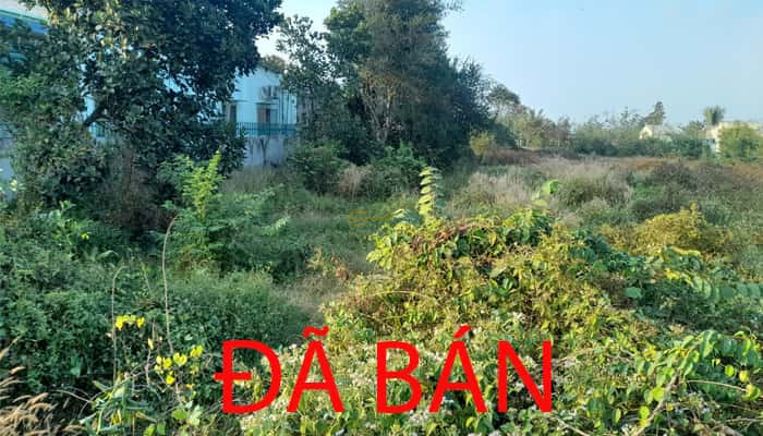 ban-dat-5x37m-mt-duong-658-xa-phuoc-thanh-cu-chi-full-tho