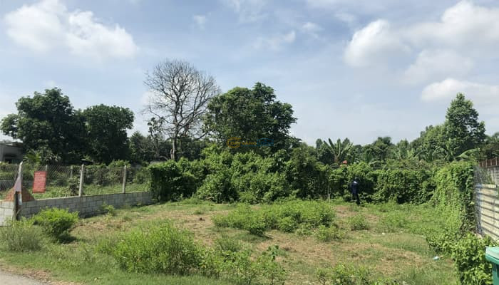 ban-dat-mt-nhua-full-tho-6x17m-xa-phuoc-vinh-an-cu-chi