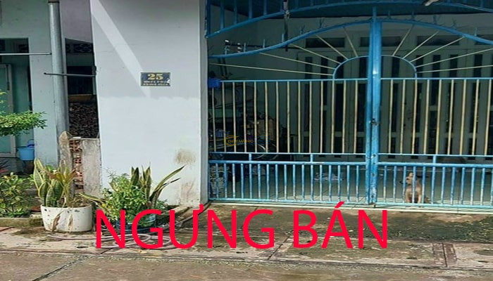 nha-ban-5x17m-gia-re-cho-viet-kieu-xa-tan-thong-hoi