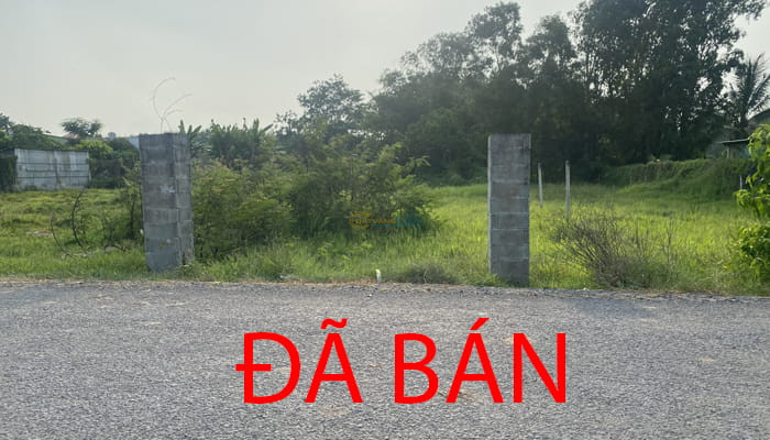 ban-dat-mt-nhua-5x51m-full-tho-xa-trung-lap-ha-cu-chi