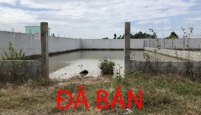 ban-dat-mt-577-15x34m-xa-trung-lap-ha-dan-cu-dong