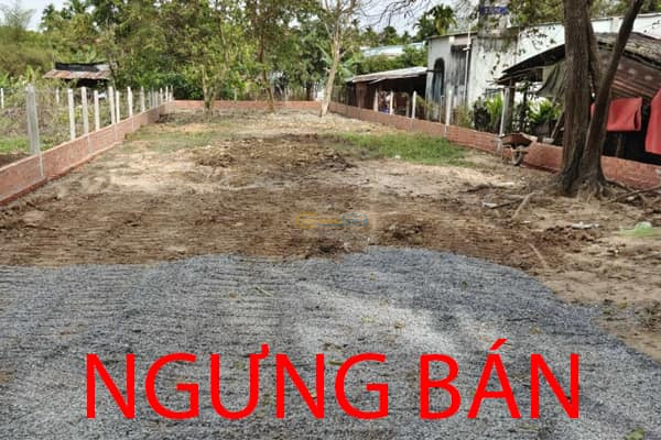 dat-10x39m-duong-cay-go-trung-tam-hanh-chinh-xa-an-nhon-tay-ven-song-140m-tho-cu