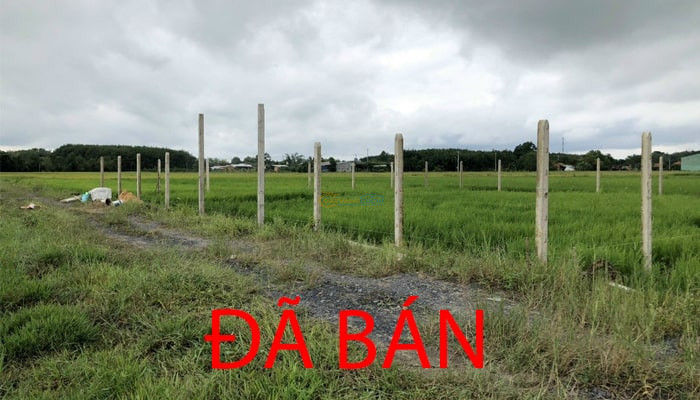dat-23x22m-goc-rung-cach-tl7-500m-xa-an-nhon-tay