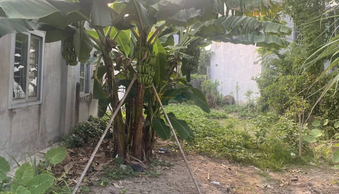 ban-dat-duong-dinh-kiep-o-to-thong-8x23m-full-tho-thi-tran-cu-chi