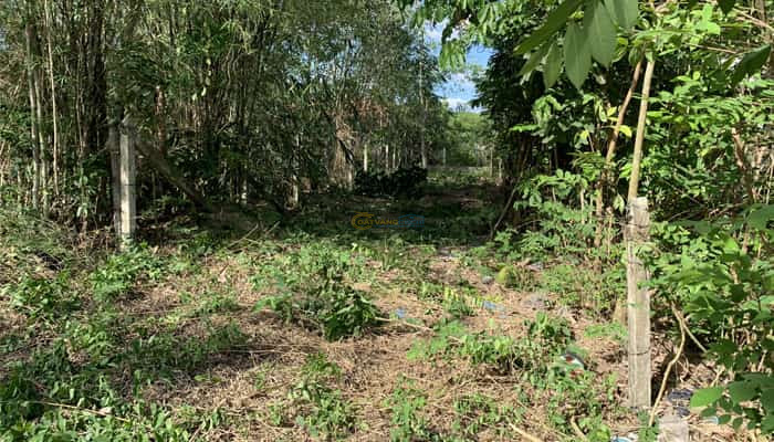 ban-dat-full-tho-137m2-5x29m-hien-huu-xa-phu-hoa-dong-cu-chi