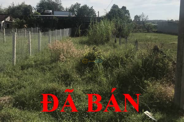 ban-dat-mt-nhua-duong-41-xa-thai-my-5x32m-cach-tinh-lo-7-500m