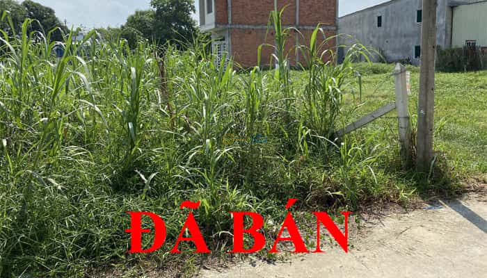 ban-dat-mt-cho-tan-thanh-dong-cu-chi-dt-5x31m-full-tho