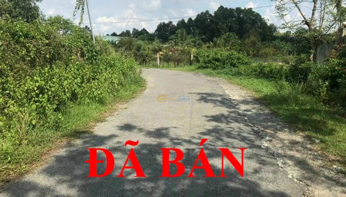 ban-dat-mt-nhua-6x16m-full-tho-xa-trung-lap-ha-cach-tl2-300m