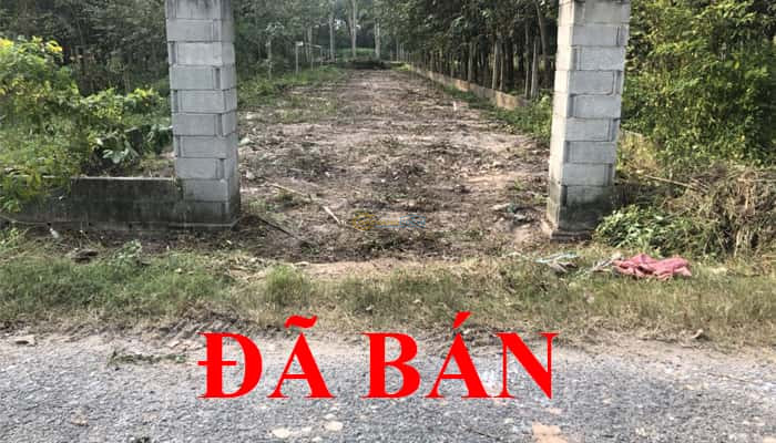 ban-dat-7x63m-sat-ben-truong-mam-non-xa-trung-lap-thuong-cu-chi