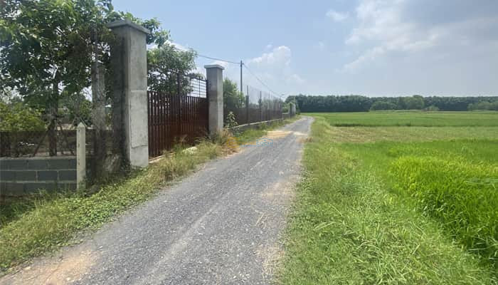 ban-dat-vuon-trong-cay-22x44m-sat-ben-kcn-tay-bac-trung-lap-ha-cu-chi