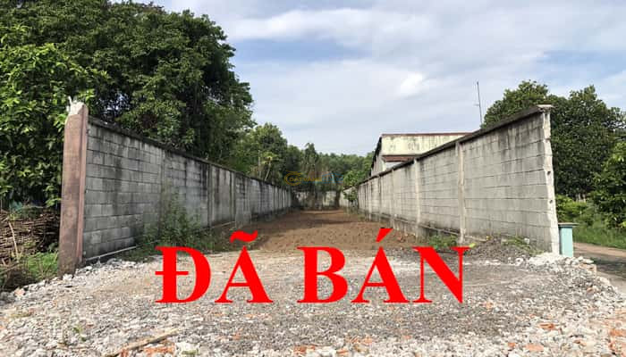 ban-dat-mt-10m-duong-499-full-tho-7x68m-cach-pham-van-coi-200m-cu-chi
