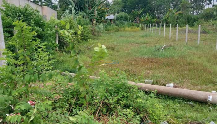 ban-dat-2mt-tinh-lo-7-10x48m-xa-an-nhon-tay-vi-tri-dac-dia-cu-chi