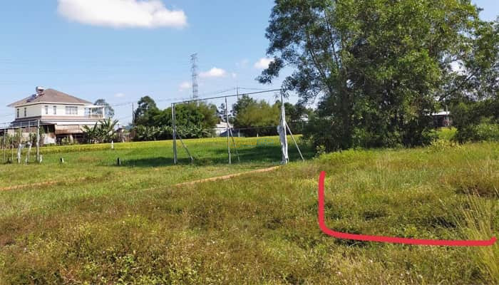 ban-dat-mt-duong-dang-thi-to-5x25m-full-tho-gia-re-trung-lap-thuong-cu-chi