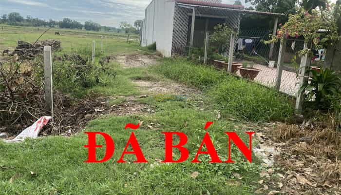 ban-dat-mt-tinh-lo-2-5x30m-full-tho-xa-trung-lap-thuong-cu-chi
