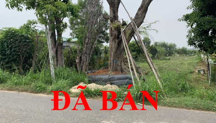 ban-dat-mt-12x58m-1-xet-duong-ben-suc-xa-an-nhon-tay-cu-chi