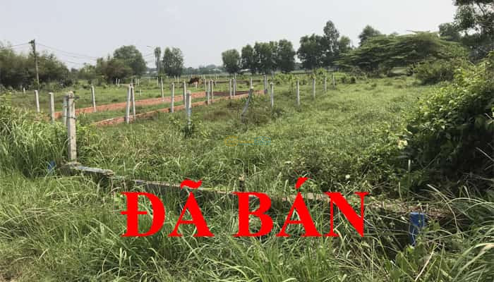 ban-dat-mt-nhua-full-tho-5x24m-xa-trung-lap-thuong-cu-chi