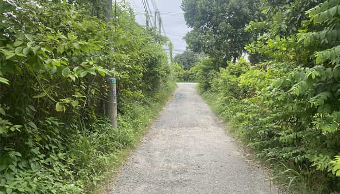 ban-dat-mt-ba-lang-17x9m-full-tho-kcn-tay-bac-tan-an-hoi-cu-chi
