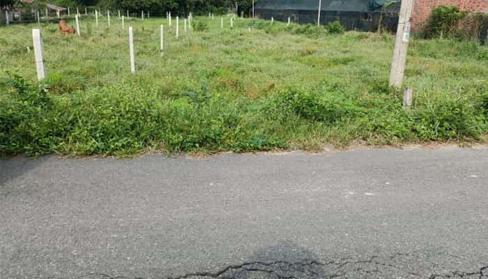 dat-mt-nhua-o-to-1-xet-nguyen-thi-tiep-5x27m-hien-huu-cach-tl15-500m-xa-an-phu