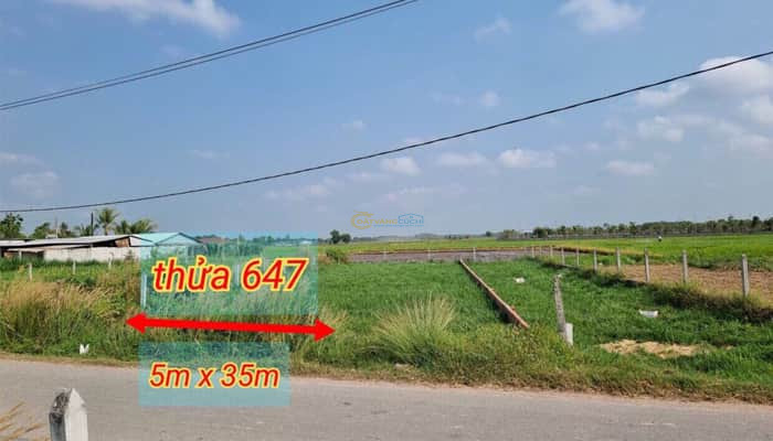 ban-dat-mt-nhua-1-xet-trung-lap-5x35m-xa-trung-lap-thuong-cu-chi