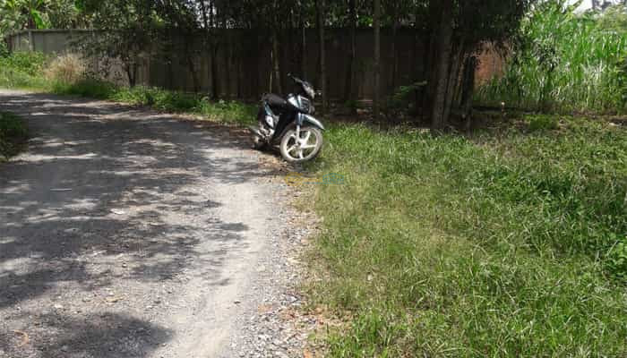 dat-giua-tinh-lo-15-cay-go-20x50m-ke-ben-ubnd-xa-an-phu