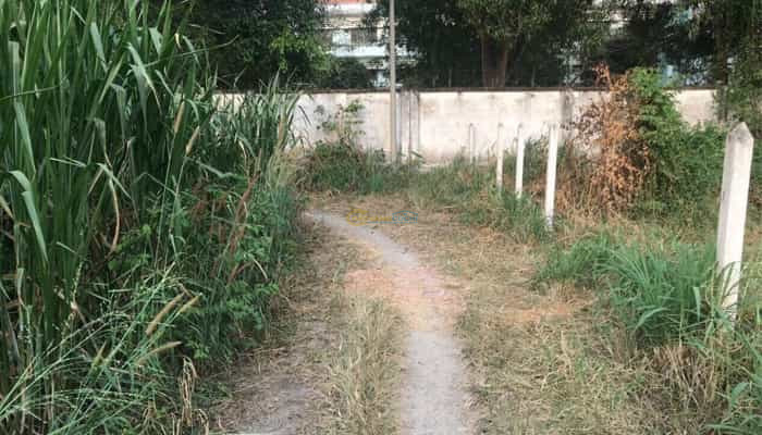 dat-phia-sau-truong-hoc-2-lo-62x16m-cach-tl15-200m-xa-tan-thanh-dong