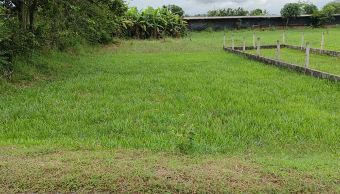 mt-pham-thi-chanh-12x20m-co-50m-tho-xa-phuoc-hiep