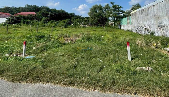 ban-dat-mt-nhua-1-xet-nguyen-kim-cuong-5x32m-full-tho-xa-tan-thanh-dong