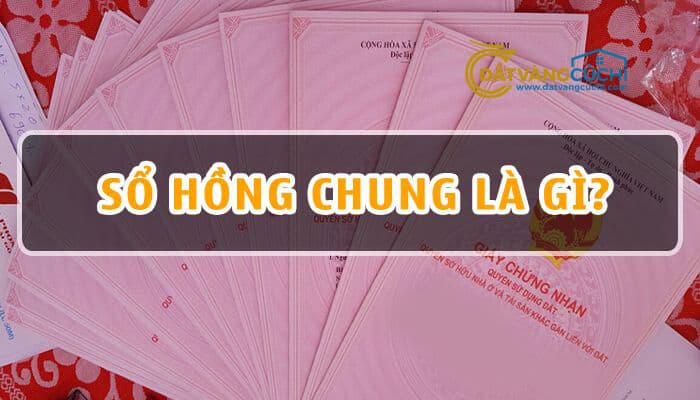 so-chung-dong-so-huu-la-gi
