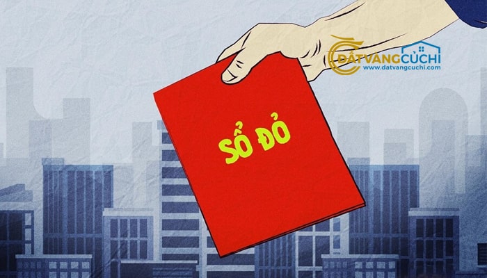 cac-truong-hop-duoc-cap-so-do