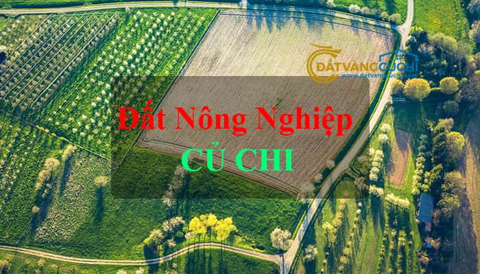 dat-nong-nghiep-cu-chi